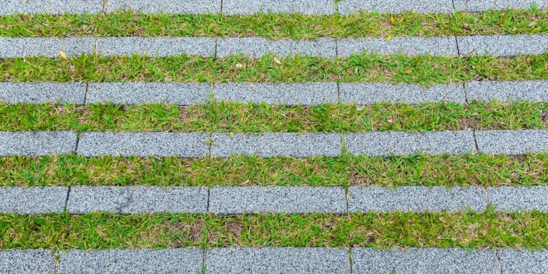庭リフォームの種類と費用の目安は？今すぐ知りたい相場とお得なコツを徹底解説！