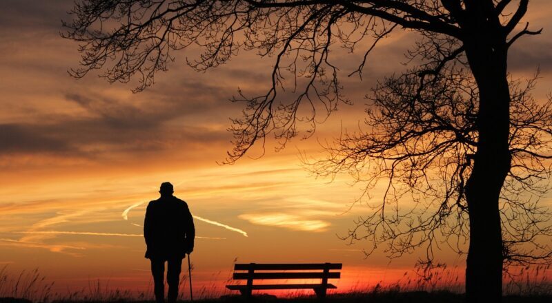 【フェンスの種類と費用】メリット・デメリットを徹底解説!