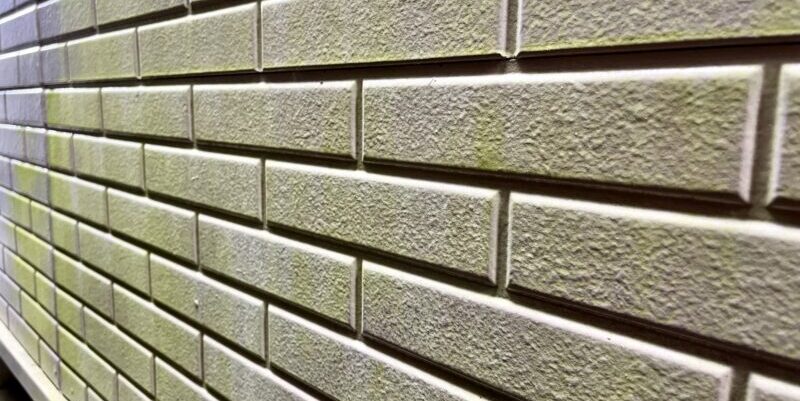 【外壁コケ予防】原因から学ぶ効果的な対策方法とは？